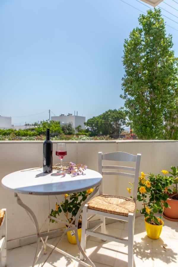 Apanemi Beachhouse Naxos City Extérieur photo
